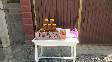 Мёд: Горный мёд 100% натуральный, разнотравье. - Собран в горах с at lalafo.kg — 5 Мёд: Горный мёд 100% натуральный, разнотравье. - Собран в горах с — 5