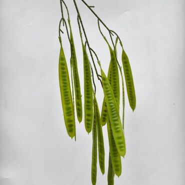 Süni güllər: Süni yaşıl bitki bəzəkləri – interyer və tədbirlər üçün dekorativ — 7