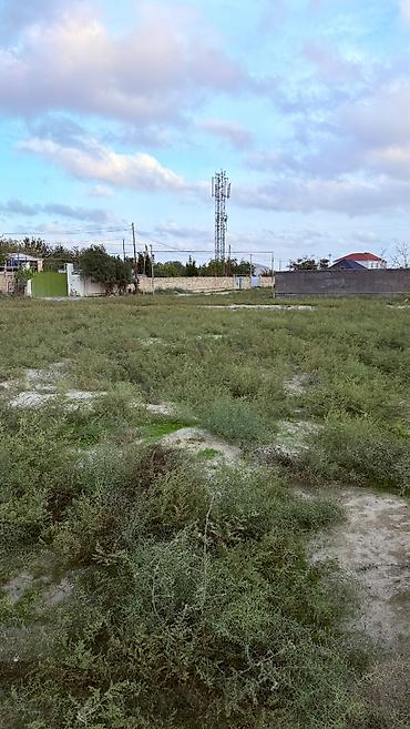 visnofkada torpaq: 13 sot, Tikinti, Mülkiyyətçi — 4
