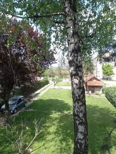 Kuće na prodaju: 200 kv. m, 4 sobe — 17