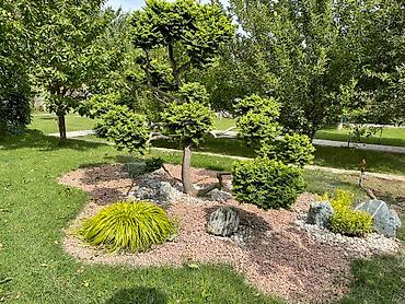 Продажа дач: Панорама! Продаются 6 совмещенных дач на Панораме! 36 соток. Идеально — 12