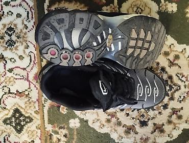 air max tn: Кроссовки Nike Air Max Plus (TN), мужские. Улицу с окна видели и то — 5