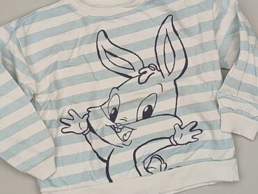 Sweater, Sinsay, 2-3 years, 92-98 cm, condition - Perfect