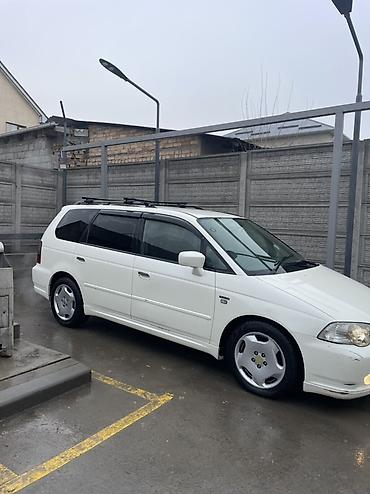 Honda: Honda Odyssey: 2002 г., 3 л, Автомат, Бензин, Универсал — 3