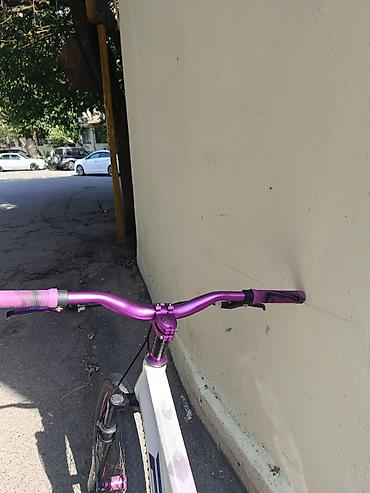 24 velosiped: Hec bir bir problemi yoxdur 2 aydir alinib pula ehtiyacım var deye — 3