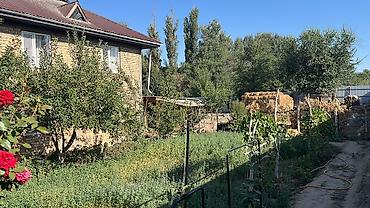 орундук: Продаётся частный дом с большим приусадебным участком. - Дом — 1
