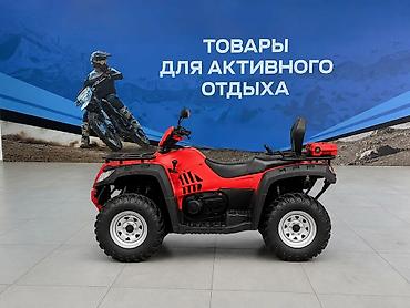 313: Квадроцикл Бензин, 500 куб. см, Взрослый — 3