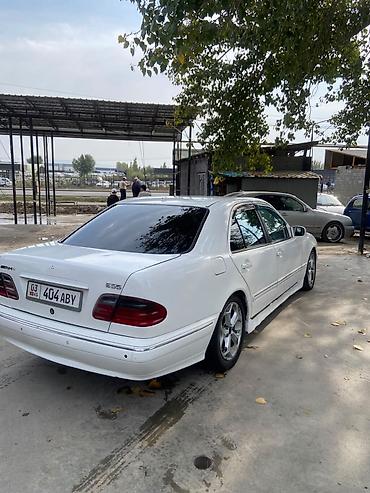 даф 105 460: Mercedes-Benz E-класс AMG: 2001 г., 2.2 л, Автомат, Дизель, Седан — 1