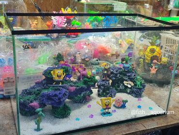 аквариумы бишкек: Аквариум 30 литров с дизайном спанч Боб