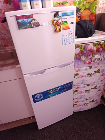 холодильник миний: Холодильник Двухкамерный