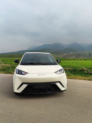 автомобиль бу: Byd Seagull 305 км 2024 года! Базовая комплектация. Пробег 3800 км