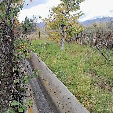 Продажа дач: Дачный участок с садовым домиком и плодовыми деревьями - Участок — 12