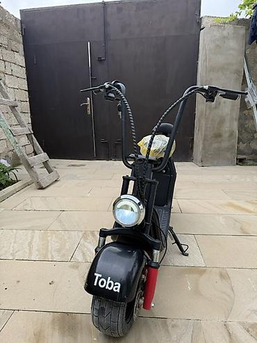 toba: - Toba — 2