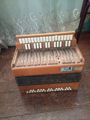 ağ baliq: Məhsul: Köhnə tip düyməli akkordeon (xalq çalğı aləti) Təsvir: - — 3