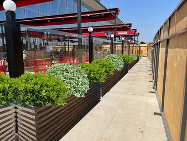 Bitkilər üçün dibçəklər: Bir başa sexdən.Sex qiymətinə. ♦️Endrim 2025 ▶️İstenilən modeldə -da lalafo.az — 3 Bitkilər üçün dibçəklər: Bir başa sexdən.Sex qiymətinə. ♦️Endrim 2025 ▶️İstenilən modeldə — 3