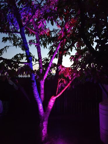 intex bazen za bebe: Garden lighting, New, Customer pickup, Paid delivery