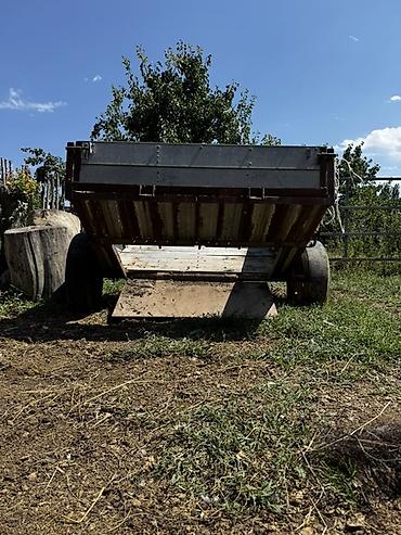чон ат: Эщек араба сатылат. Чөп,таш и т.д ташыганга өтө ыңгайлуу. Араба — 5