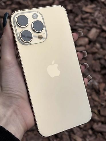 13 pro max 512: IPhone 14 Pro Max, Б/у, 256 ГБ, Золотой, Защитное стекло, Чехол, 71 % — 1