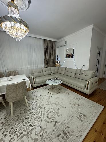 yumurta bezekleri: Xalça Kredit yoxdur — 3