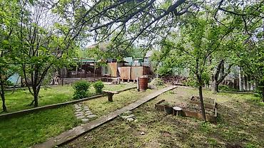 тынчтык ж м: 5 соток, Кызыл китеп — 9