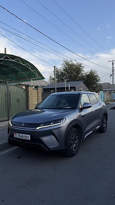 BYD: BYD Yuan Up: 2024 г., 0.1 л, Автомат, Электромобиль, Кроссовер — 2