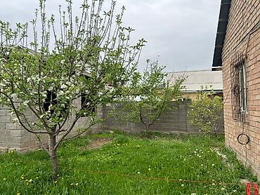 Продажа коттеджей и домов: Продается дом с просторным двором и хозяйственными постройками. - — 13