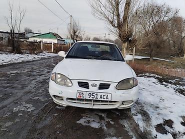 киа рио сатып алуу: Hyundai Avante: 1999 г., Кол менен иштөөчү, Седан — 2