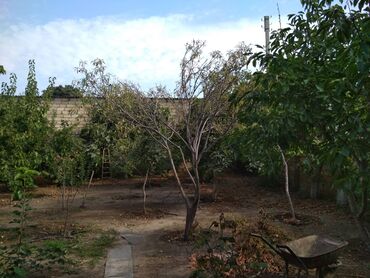 Həyət evləri və villaların satışı: 3 otaqlı, 135 kv. m, Orta təmir — 21