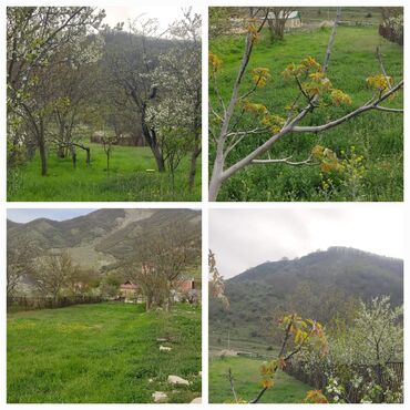 xacmazda satılıq evlər: 13 sot, Mülkiyyətçi, Kupça (Çıxarış)