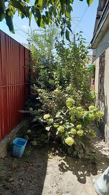 Продажа домов: 4 комнаты, 80 м², 5 соток, Бишкек, Аламединский рынок / базар Агентство недвижимости — 8