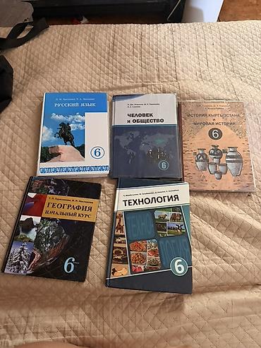 солом: Комплект учебников для 6 класса: - Русский язык (авт. Л.М — 1