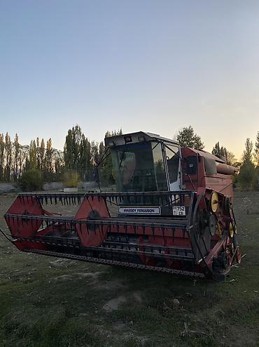 трактор юмзы: Комбайн зерноуборочный Massey Ferguson - Полноразмерный — 1