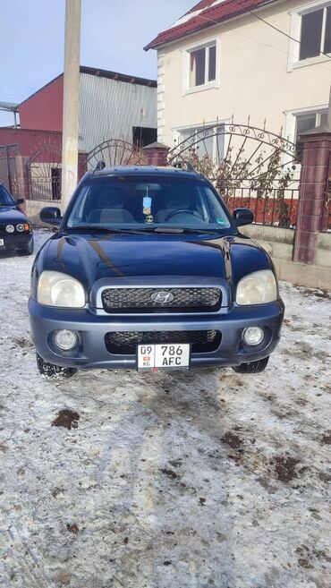 Hyundai: Hyundai Santa Fe: 2004 г., 2.4 л, Механика, Газ, Кроссовер