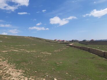 Torpaq sahələrinin satışı: 80 sot, Kənd təsərrüfatı, Maklerlər narahat etməsin, Kupça (Çıxarış) -da lalafo.az — 5 Torpaq sahələrinin satışı: 80 sot, Kənd təsərrüfatı, Maklerlər narahat etməsin, Kupça (Çıxarış) — 5
