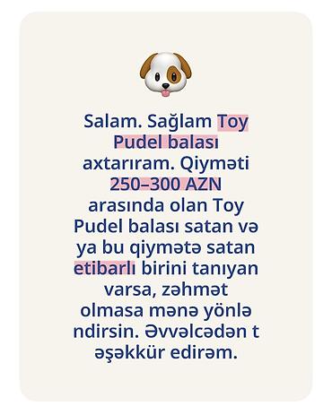 Pudel