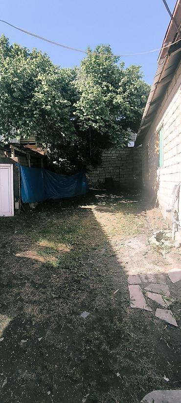 Otaqların uzunmüddətli kirayəsi: QƏBƏLƏDƏ KUPÇALI TORPAQ VƏ 2 EV SATILIR! 🏡 Qəbələ rayon mərkəzində — 11