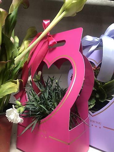 Подарочная упаковка: Подарочные композиции в коробке-сумке - Живые комнатные — 8