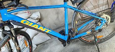 canyon velosiped: Giant Roam 2 hibrid velosiped - Model: Giant Roam 2 - Çərçivə — 2