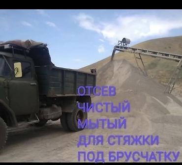 семена березы купить: Отсев отсев отсев отсев отсев — 1