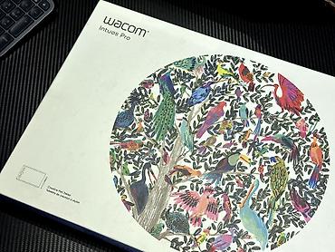 tab s9: Wacom Intuos Pro Medium (M) qrafik planşeti satılır. Məhsul — 7