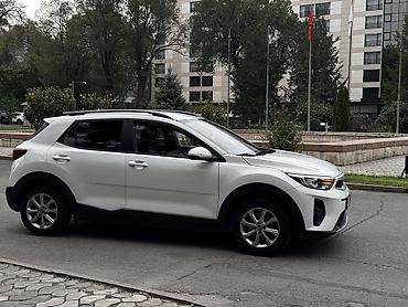 Продажа авто: Kia Stonic: 2019 г., 1.4 л, Автомат, Бензин, Хэтчбэк — 7