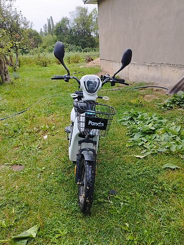 Скутеры: Скутеретта 500 куб. см, Электро, Б/у — 5
