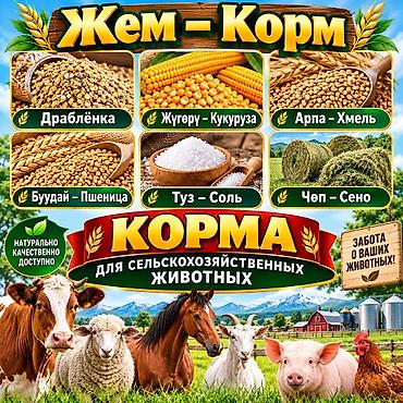 куплю корову на мясо: Корма для сельскохозяйственных животных Ассортимент: - Дроблёнка — 3