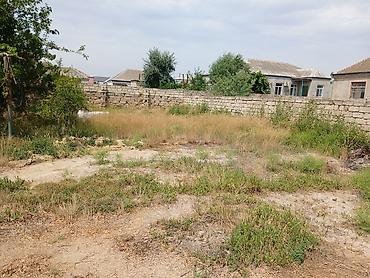 Torpaq sahələrinin satışı: 4 sot -da lalafo.az — 1 Torpaq sahələrinin satışı: 4 sot — 1