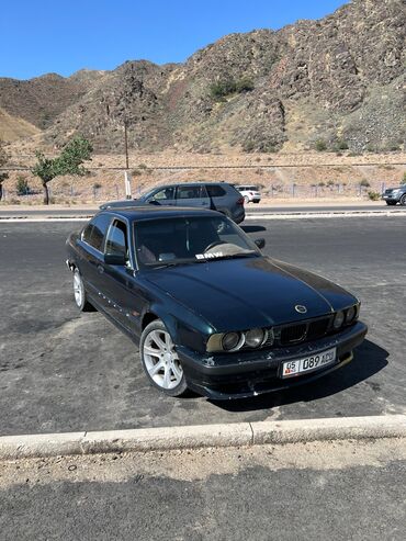 BMW: BMW 525: 1995 г., 2.5 л, Механика, Газ, Седан