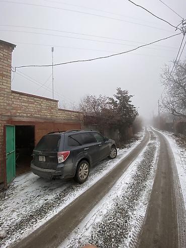 Продажа участков: 9 соток, Красная книга at lalafo.kg — 6 Продажа участков: 9 соток, Красная книга — 6