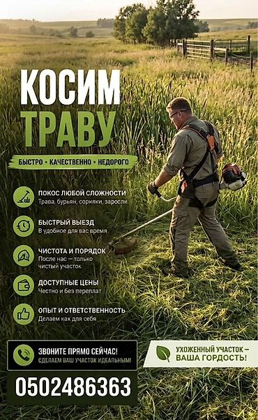 косим трава: Уборка территории, Стрижка газона — 1