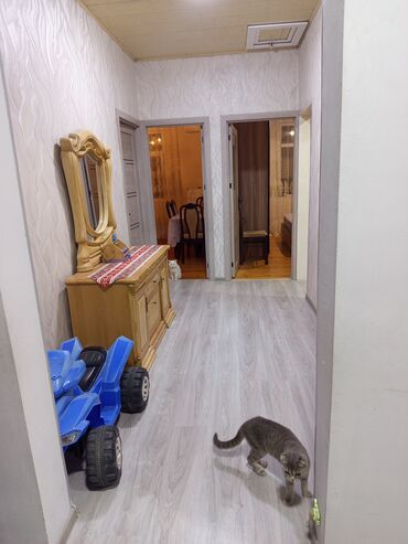yegane sadliq sarayinin yaninda kiraye evler: 3 комнаты, 2 м²