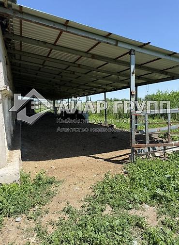 Продажа сельхоз предприятий: Ферма КРС, 20 соток, Электричество, Холодная вода — 10