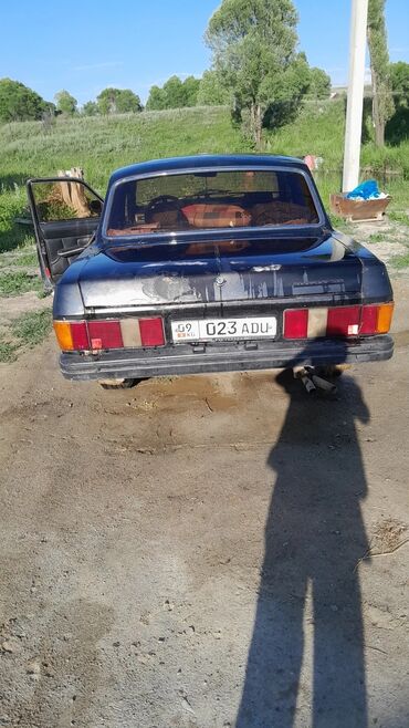 ГАЗ: ГАЗ 31029 Volga: 1994 г., 2.4 л, Механика, Бензин, Седан — 7